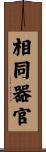 相同器官 Scroll