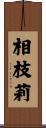 相枝莉 Scroll
