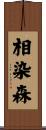 相染森 Scroll