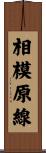 相模原線 Scroll