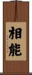 相能 Scroll
