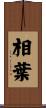 相葉 Scroll