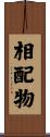 相配物 Scroll