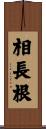 相長根 Scroll
