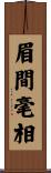 眉間毫相 Scroll