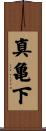 真亀下 Scroll