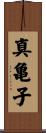 真亀子 Scroll