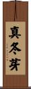 真冬芽 Scroll
