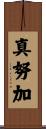 真努加 Scroll