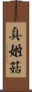 真姬菇 Scroll