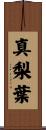 真梨葉 Scroll
