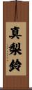 真梨鈴 Scroll