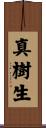 真樹生 Scroll