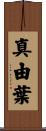 真由葉 Scroll