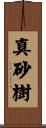 真砂樹 Scroll