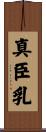 真臣乳 Scroll