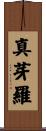 真芽羅 Scroll