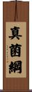 真菌綱 Scroll