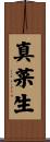 真菜生 Scroll