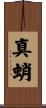 真蛸 Scroll