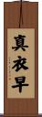 真衣早 Scroll