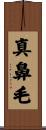 真鼻毛 Scroll