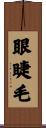 眼睫毛 Scroll