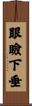 眼瞼下垂 Scroll