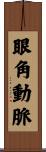 眼角動脈 Scroll