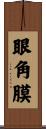 眼角膜 Scroll