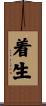 着生 Scroll