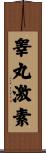 睾丸激素 Scroll