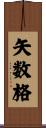 矢数格 Scroll