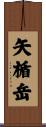 矢楯岳 Scroll