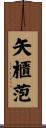 矢櫃萢 Scroll