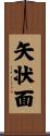 矢状面 Scroll
