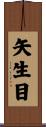 矢生目 Scroll