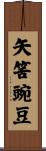 矢筈豌豆 Scroll