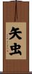 矢虫 Scroll
