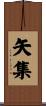 矢集 Scroll