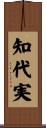 知代実 Scroll
