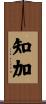 知加 Scroll