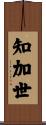 知加世 Scroll