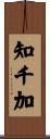 知千加 Scroll