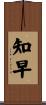 知早 Scroll