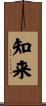 知来 Scroll
