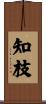 知枝 Scroll