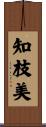 知枝美 Scroll