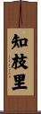 知枝里 Scroll