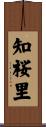 知桜里 Scroll